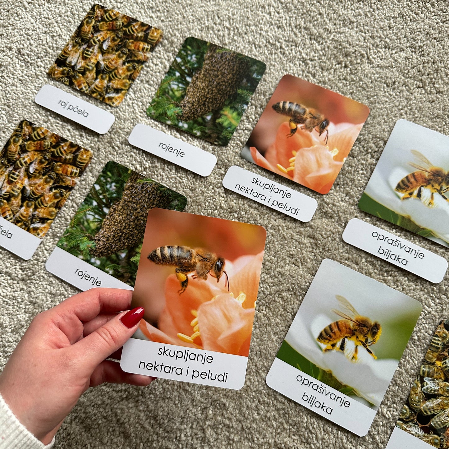 Set: Montessori kartice Pčele u drvenoj kutiji + Minijature