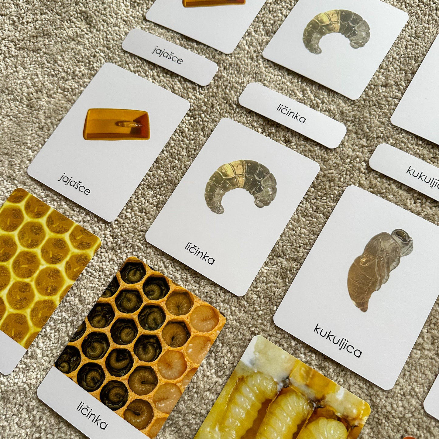 Montessori kartice u drvenoj kutiji - Pčele