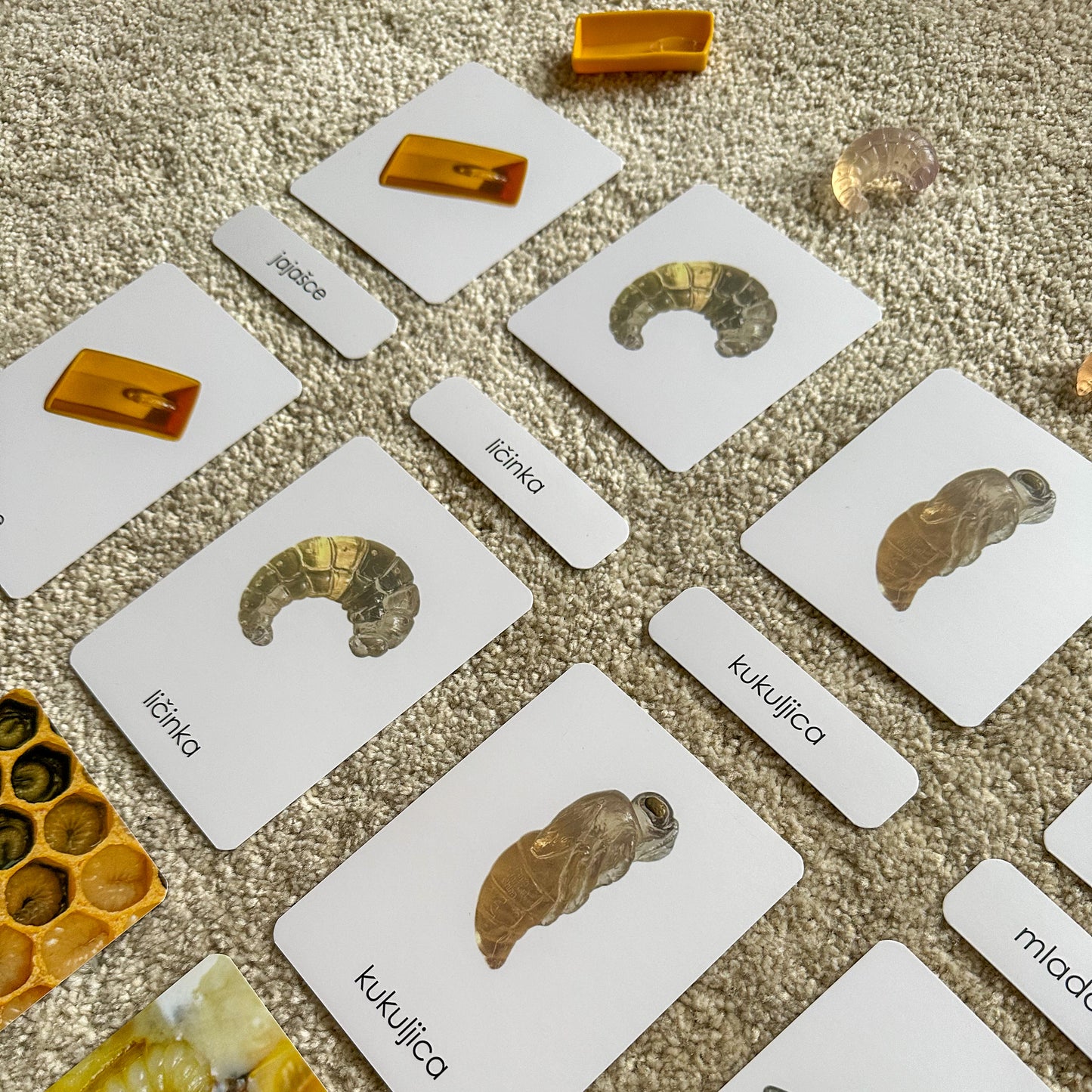 Set: Montessori kartice Pčele u drvenoj kutiji + Minijature + DIY set za izradu svijeća