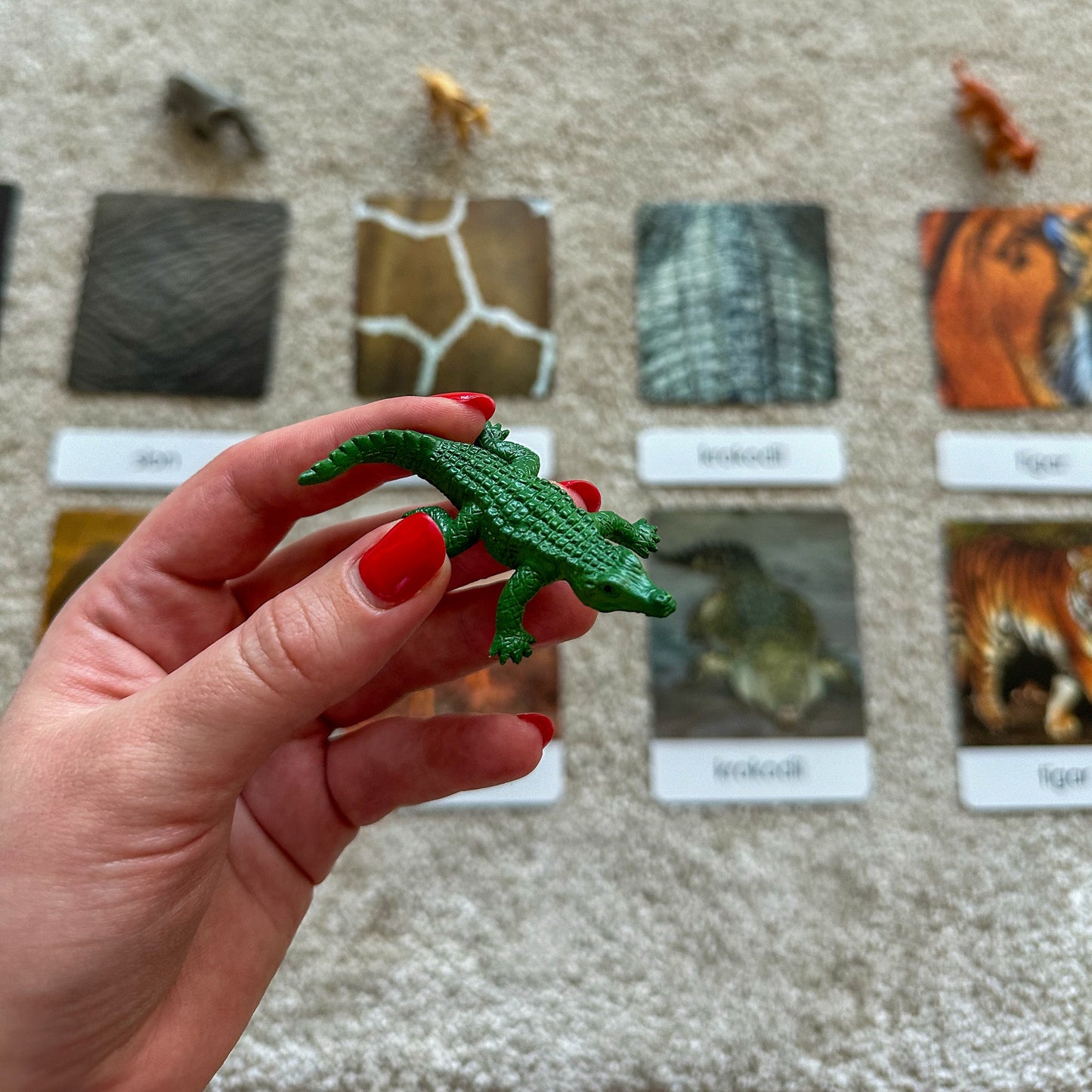 Minijature i Montessori kartice u drvenoj kutiji - Prepoznaj životinju