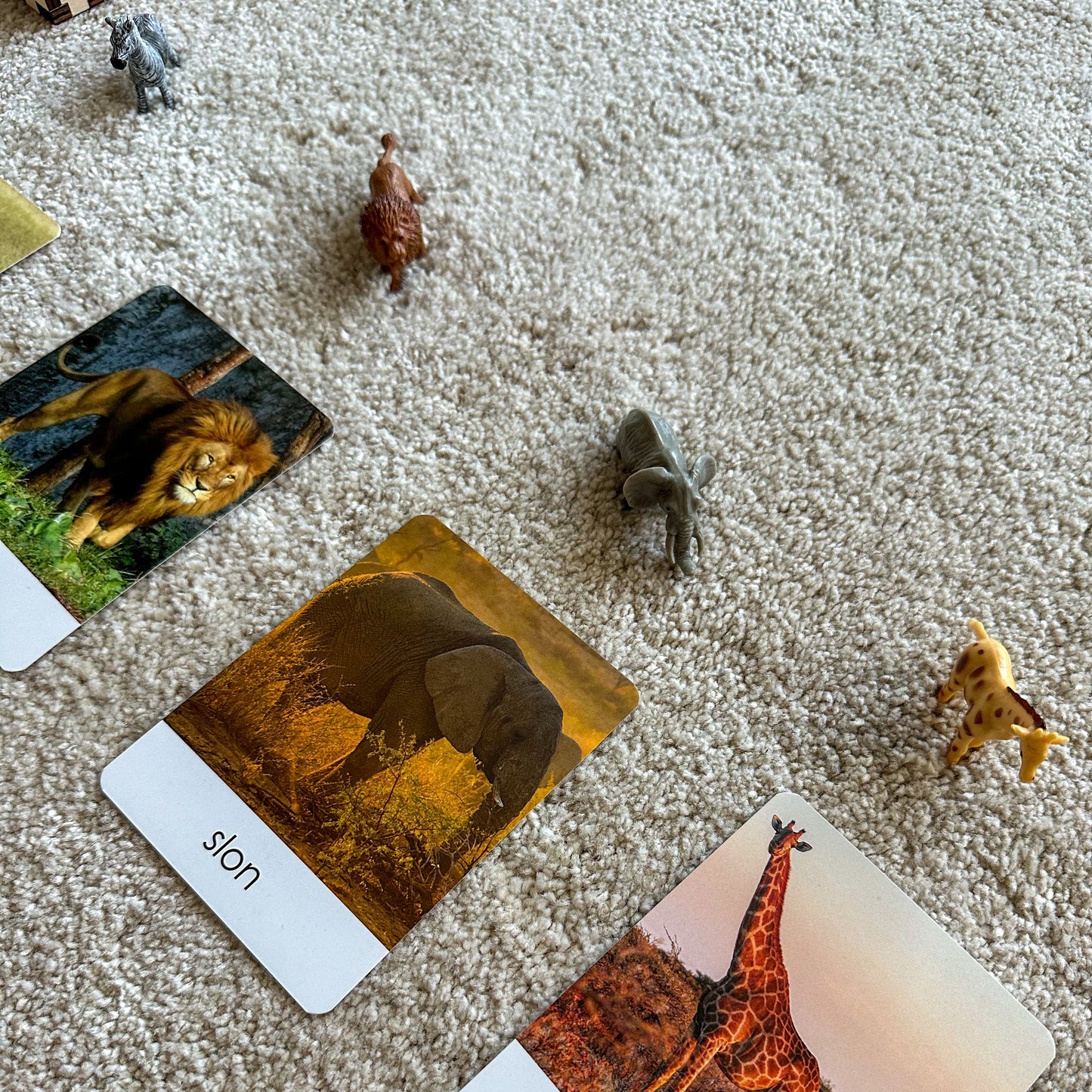 Minijature i Montessori kartice u drvenoj kutiji - Prepoznaj životinju
