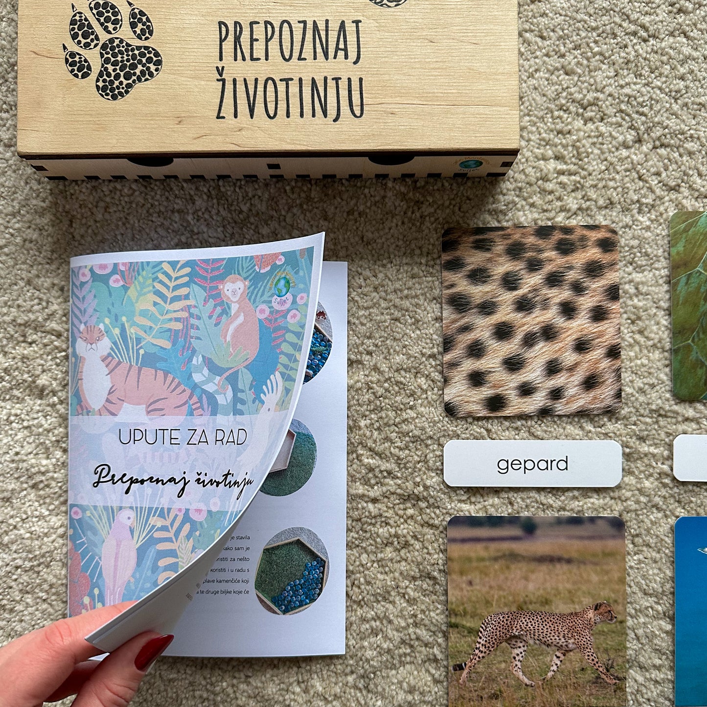Montessori kartice u drvenoj kutiji - Prepoznaj životinju
