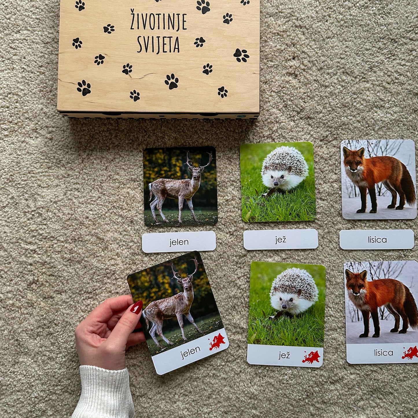Montessori kartice u drvenoj kutiji - Životinje svijeta