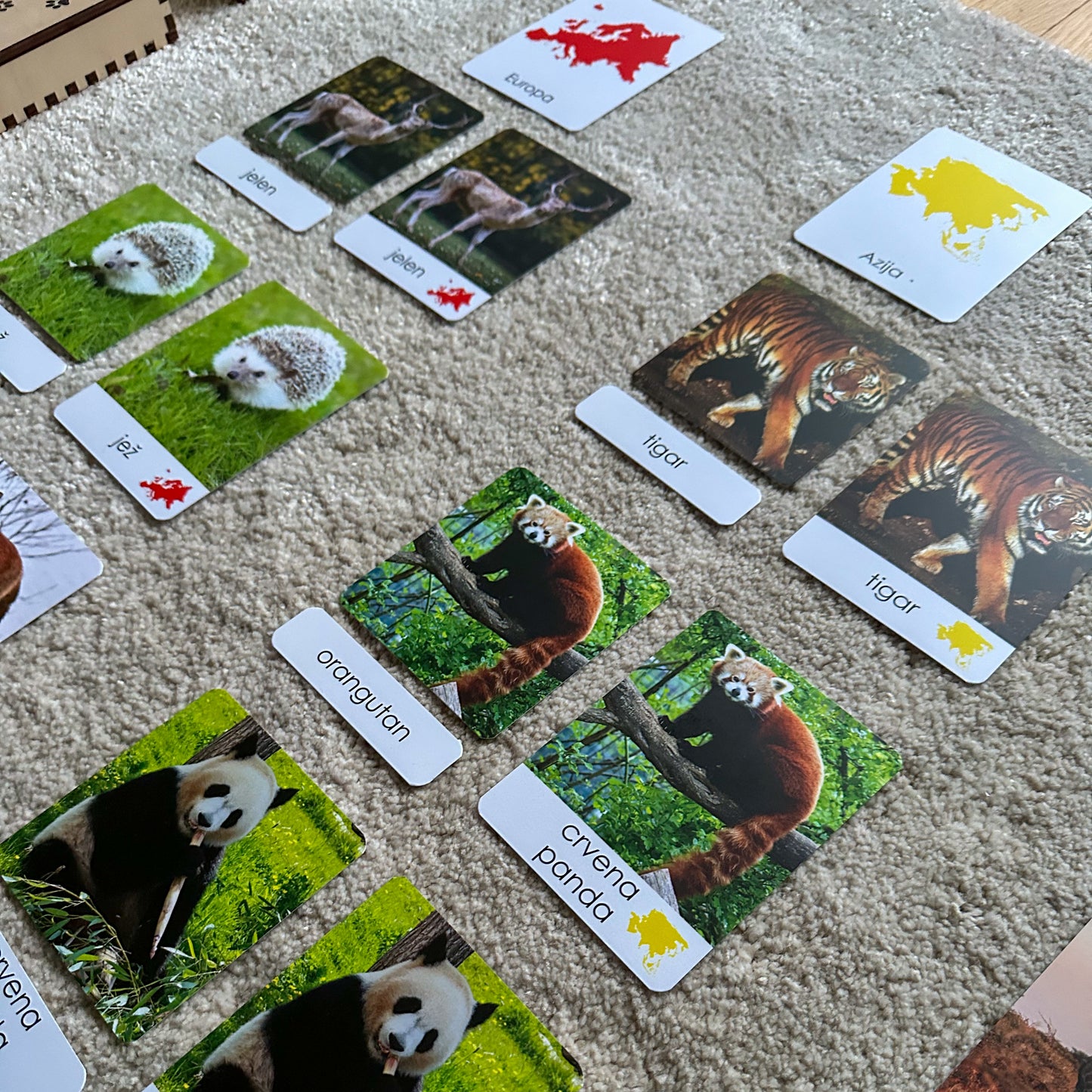 Montessori kartice u drvenoj kutiji - Životinje svijeta