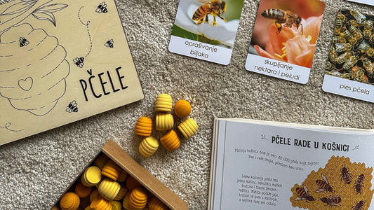 Montessori inspiracija: izrada pčela i njihovo istraživanje