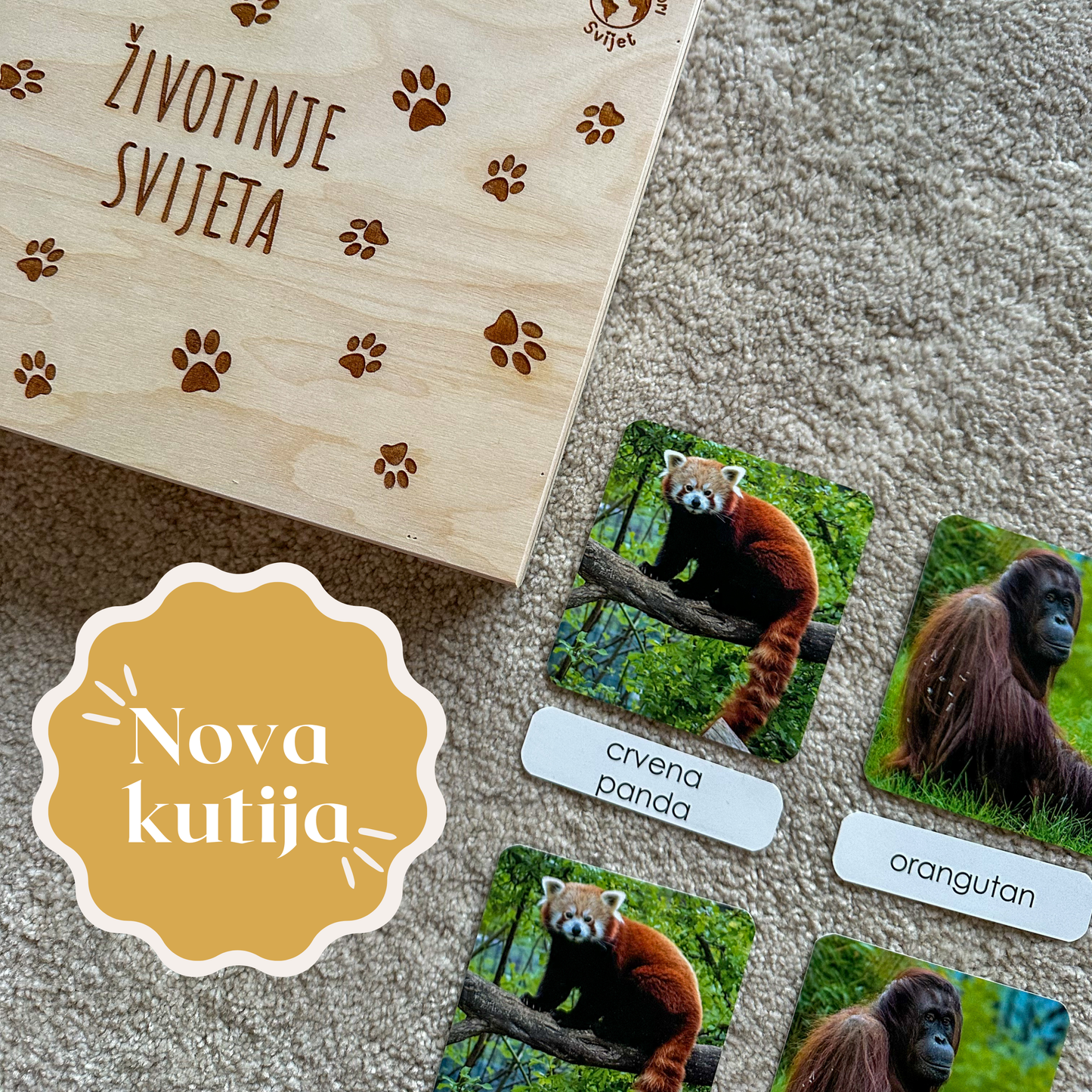 Montessori kartice u drvenoj kutiji - Životinje svijeta
