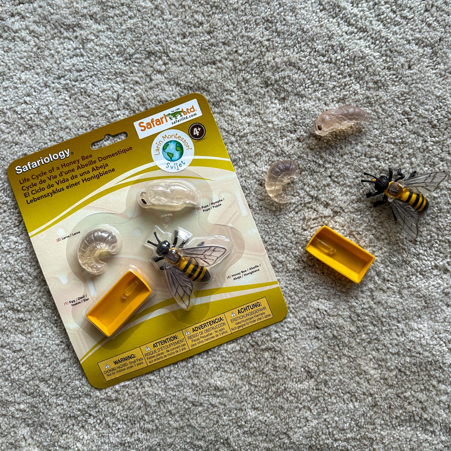 Minijature Životni ciklus pčele