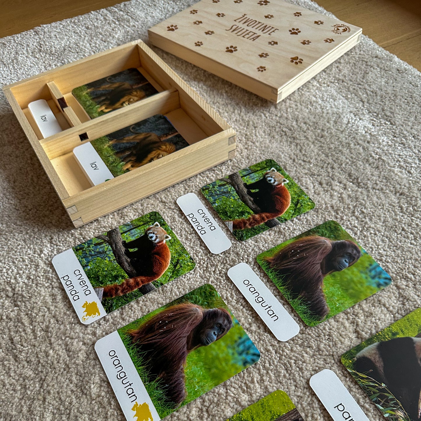 Montessori kartice u drvenoj kutiji - Životinje svijeta
