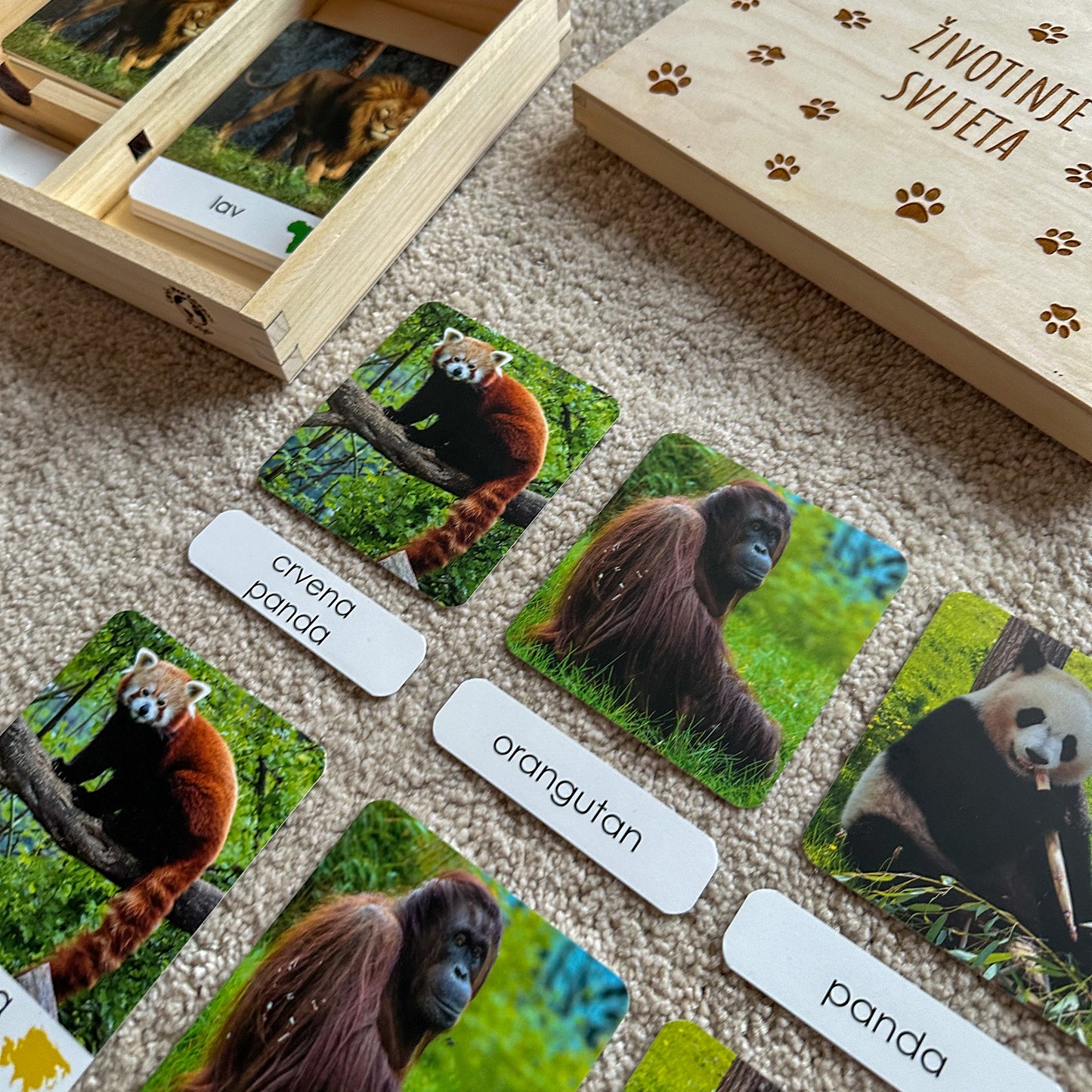Montessori kartice u drvenoj kutiji - Životinje svijeta