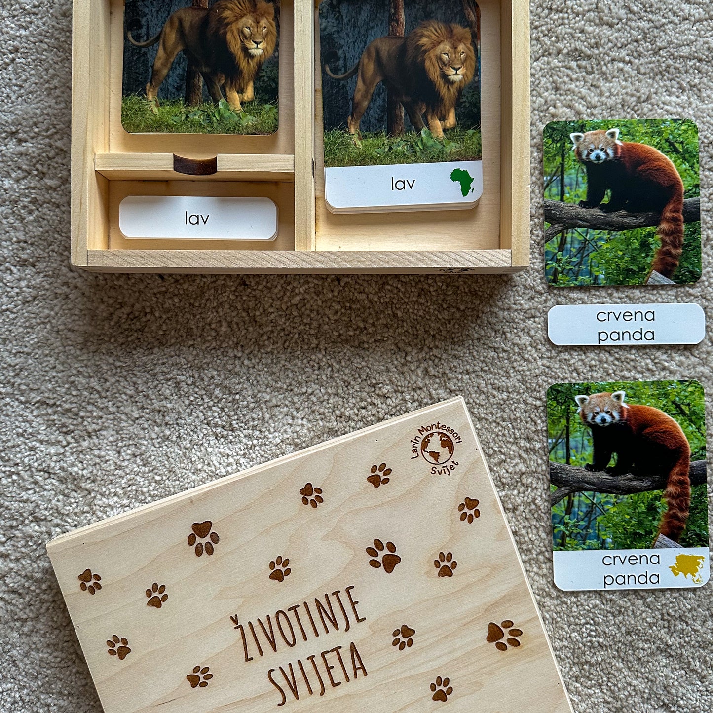 Montessori kartice u drvenoj kutiji - Životinje svijeta