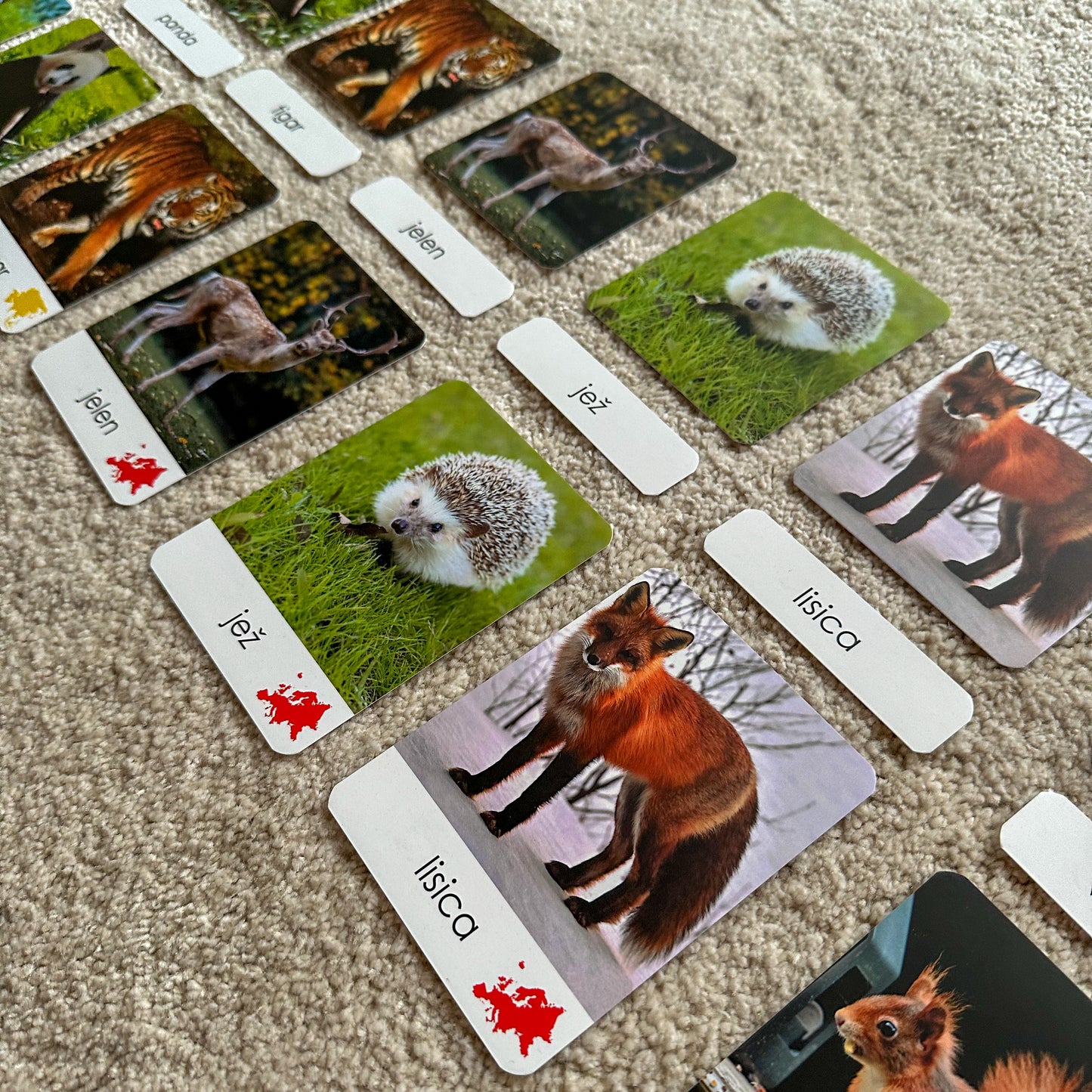 Montessori kartice u drvenoj kutiji - Životinje svijeta