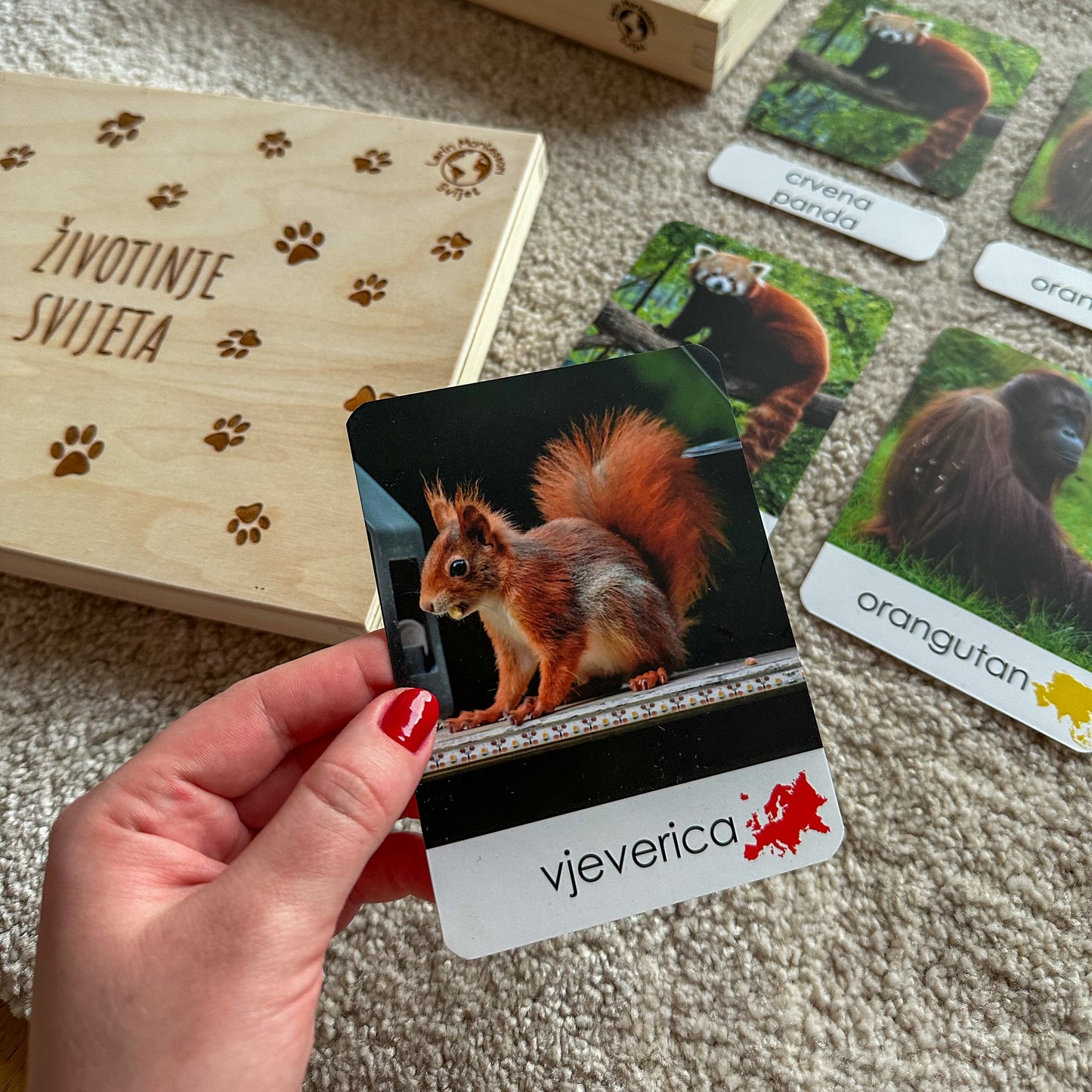 Montessori kartice u drvenoj kutiji - Životinje svijeta