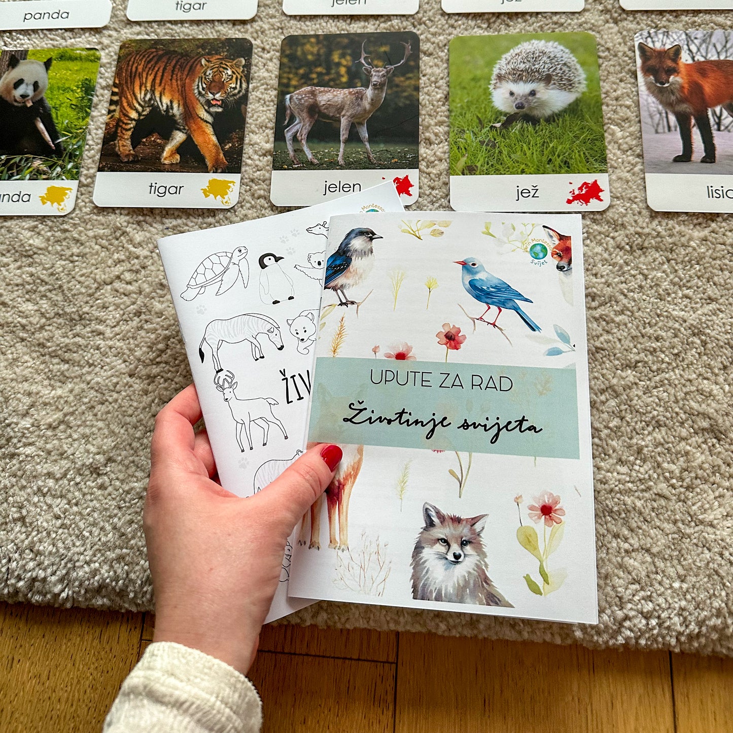 Montessori kartice u drvenoj kutiji - Životinje svijeta