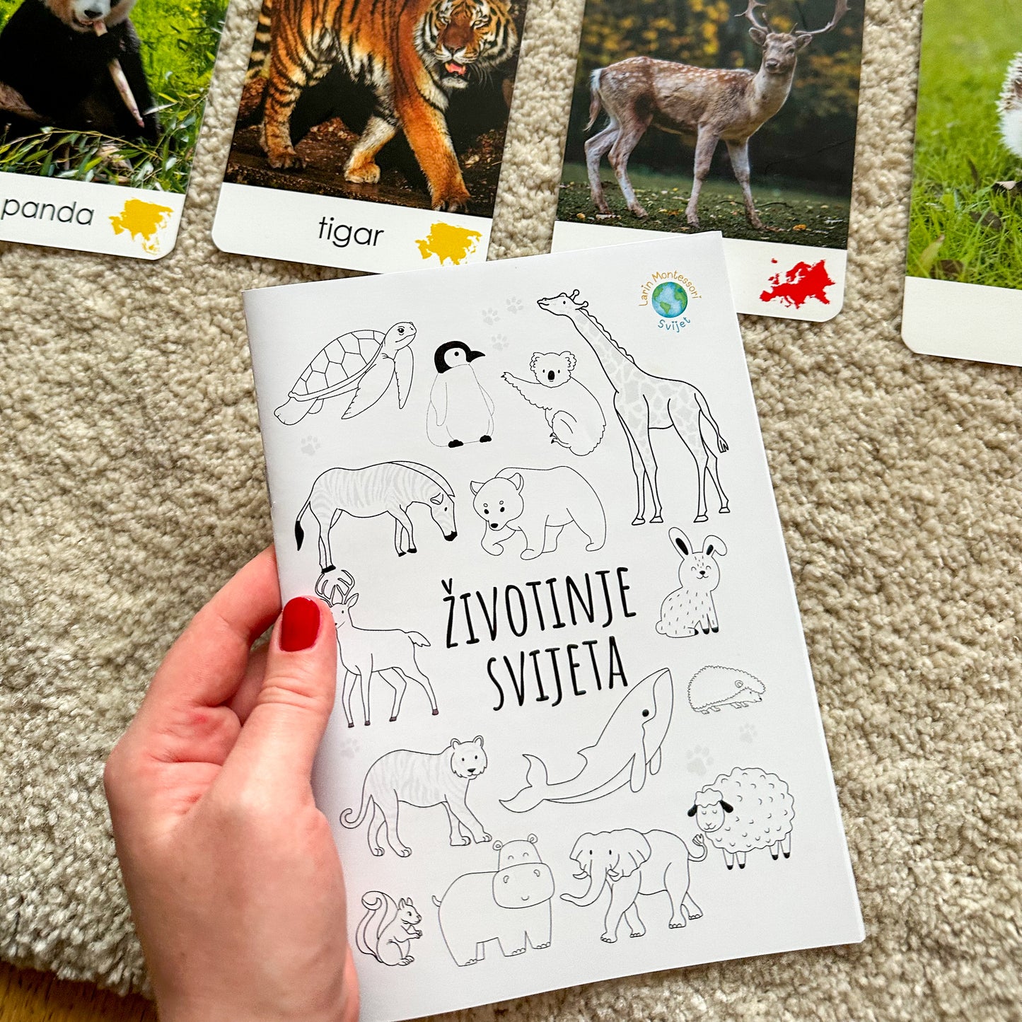 Montessori kartice u drvenoj kutiji - Životinje svijeta
