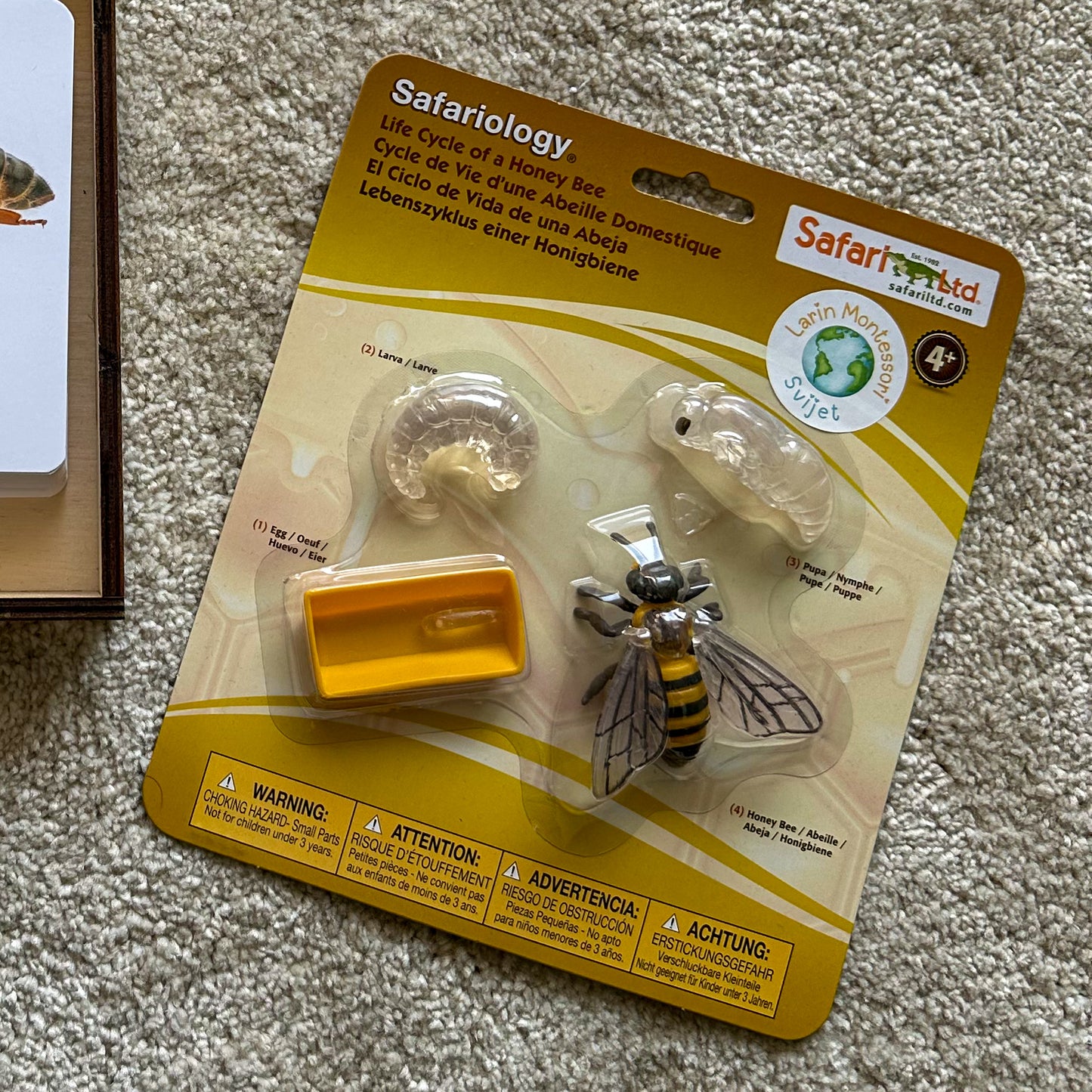 Minijature Životni ciklus pčele