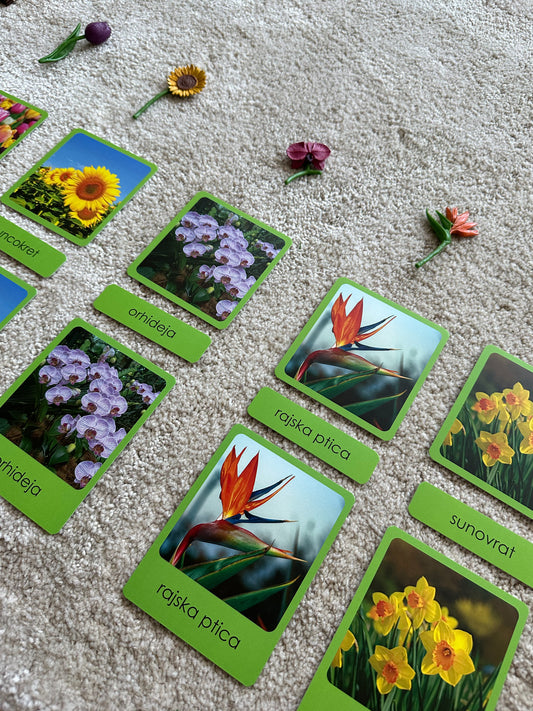 Miniatures and Montessori cards in a wooden box - Flowers