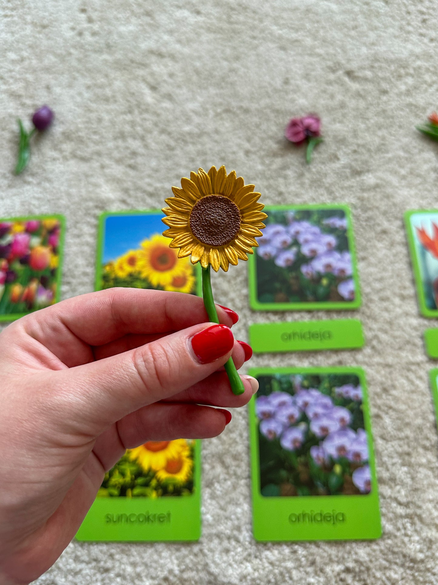 Miniatures and Montessori cards in a wooden box - Flowers