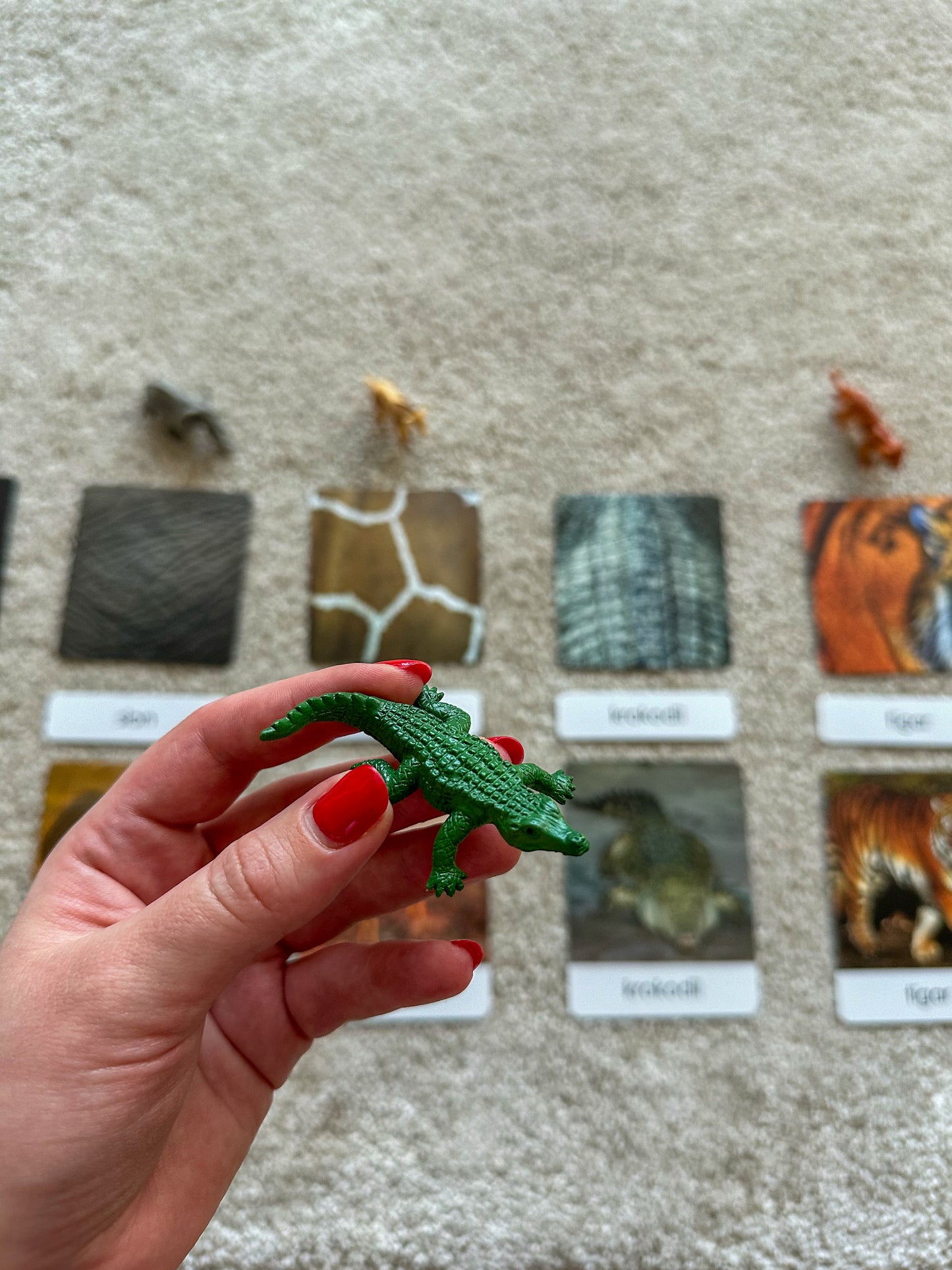 Miniatures and Montessori cards in a wooden box - Animal patterns