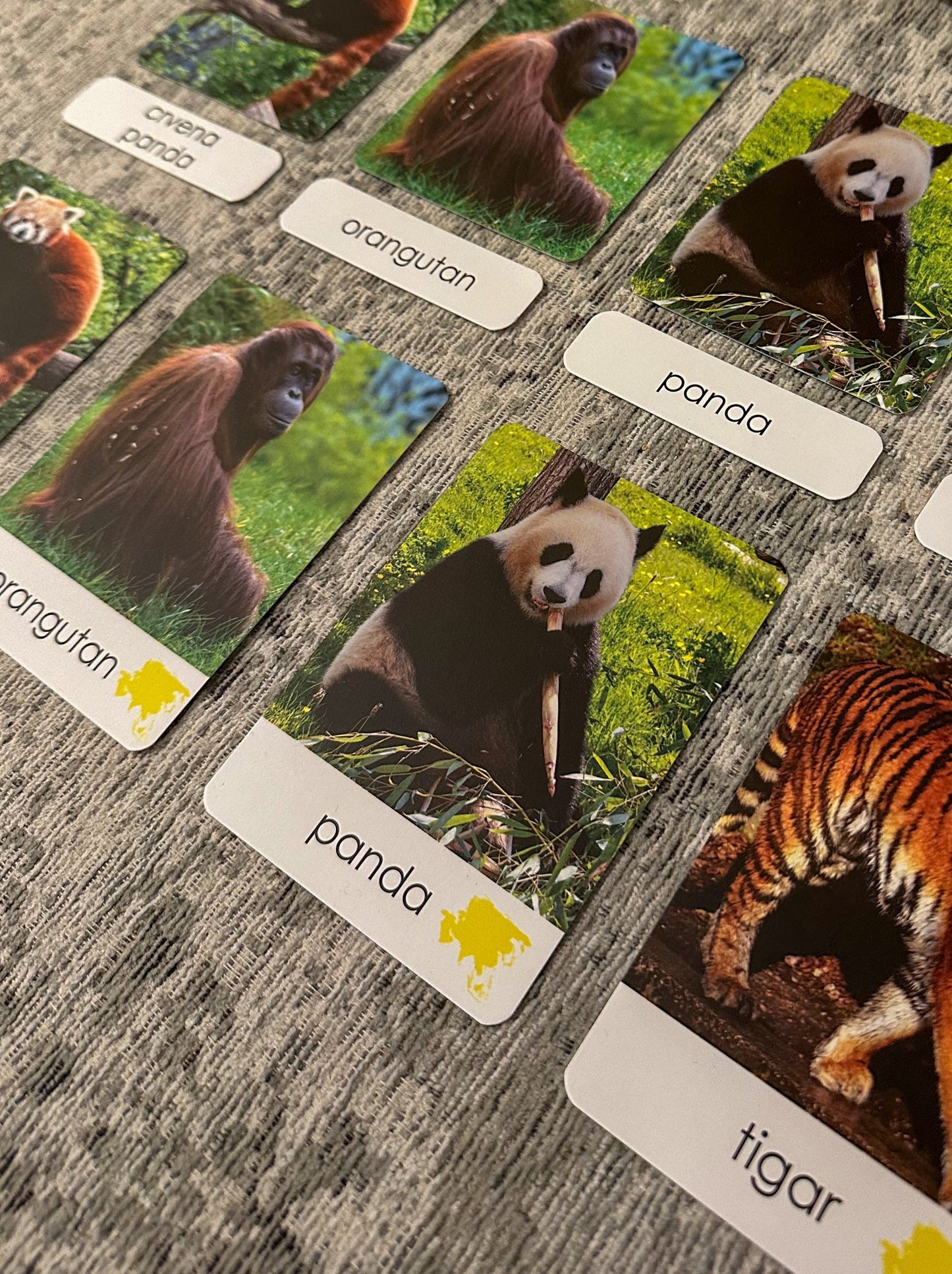 Montessori cards - Animals of the World