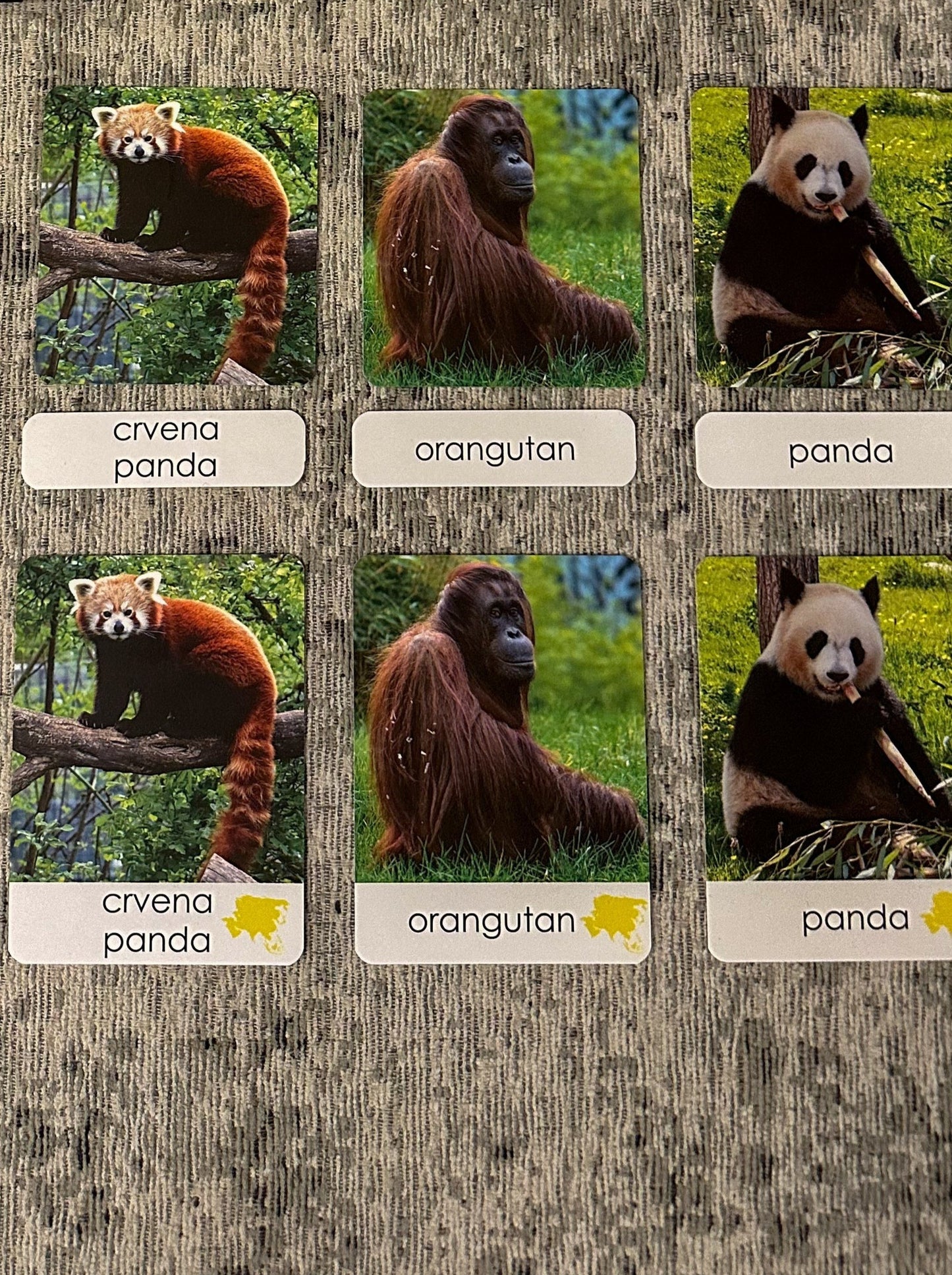 Montessori cards - Animals of the World