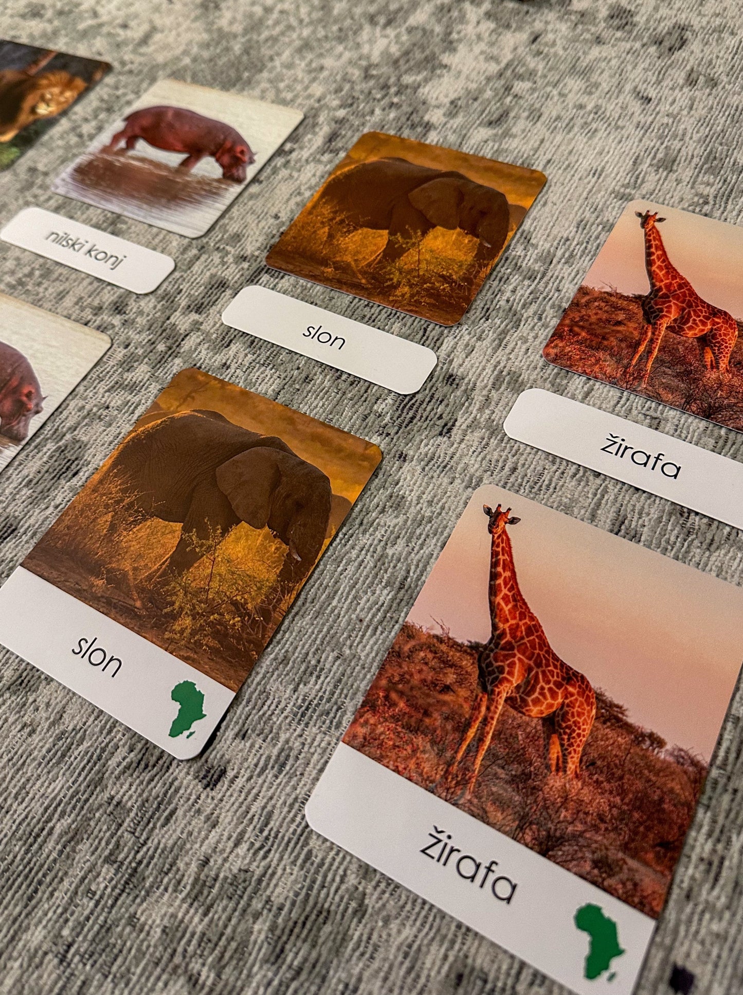 Montessori cards - Animals of the World