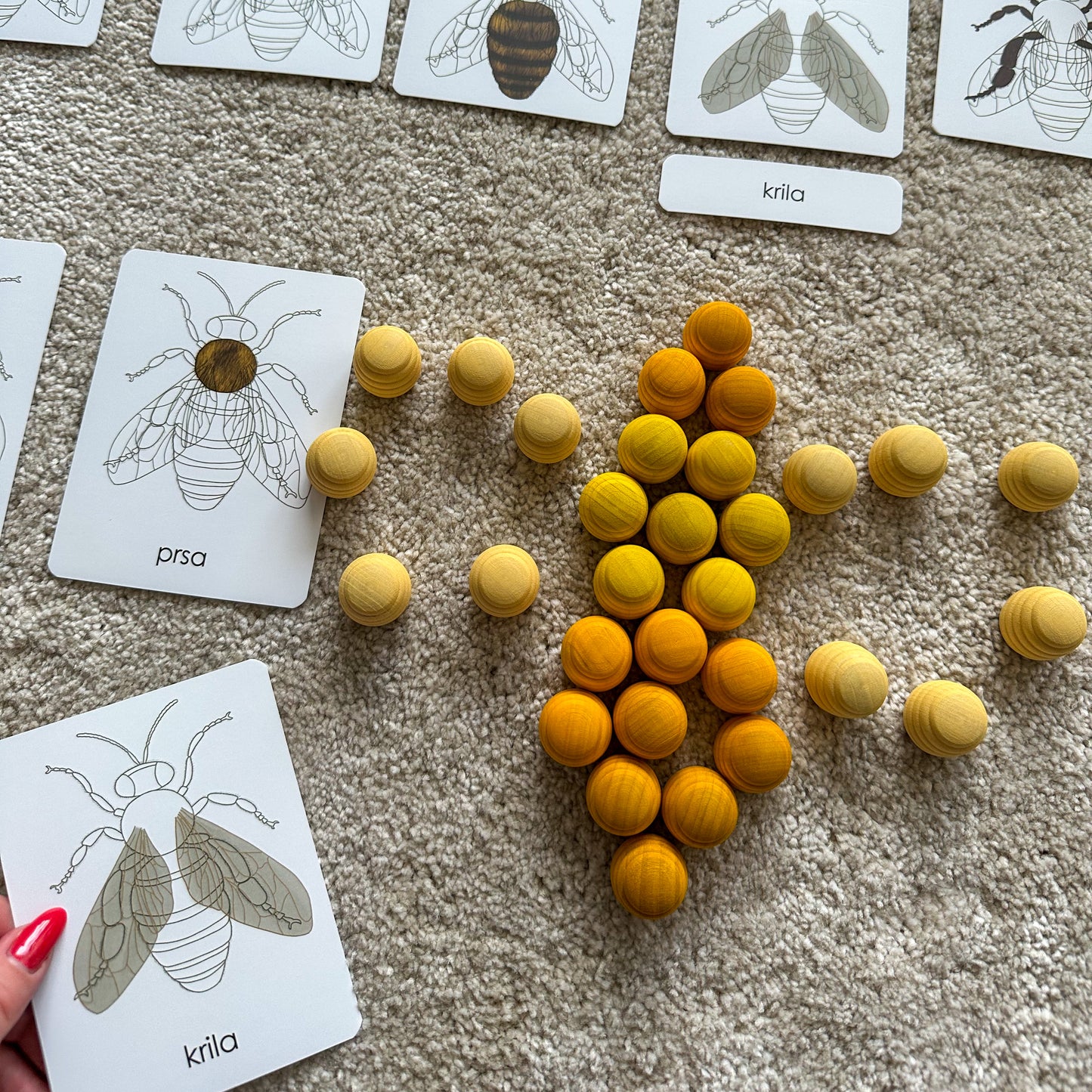 Set: Montessori kartice Pčele u drvenoj kutiji + Grapat Mandala Košnice