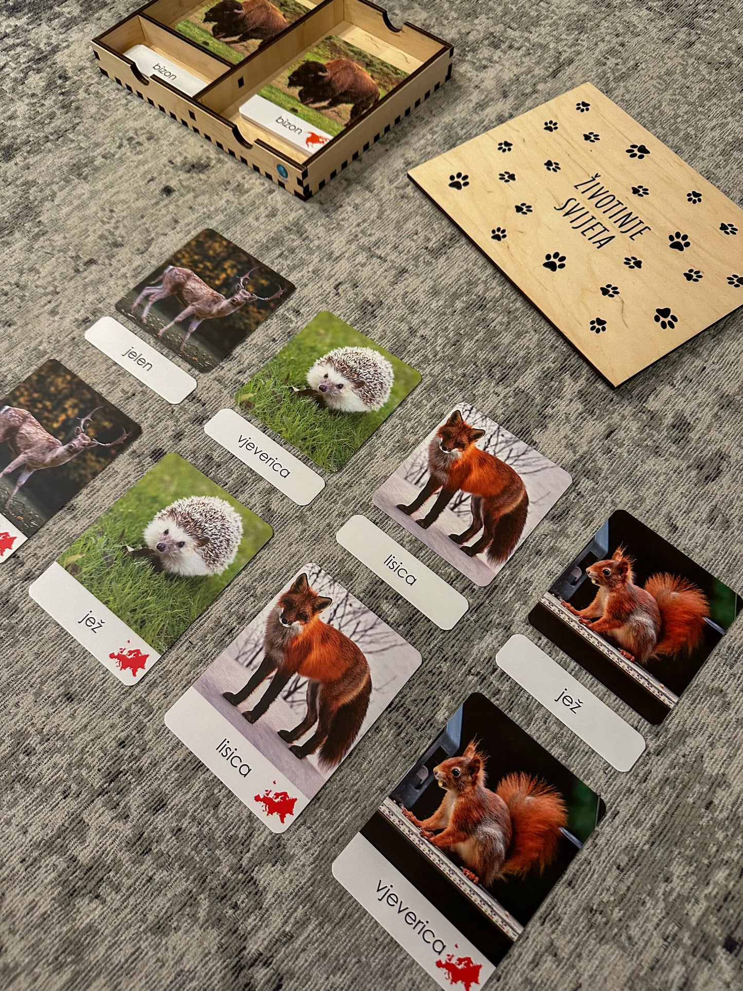 Montessori cards in a wooden box -  Animals of the World