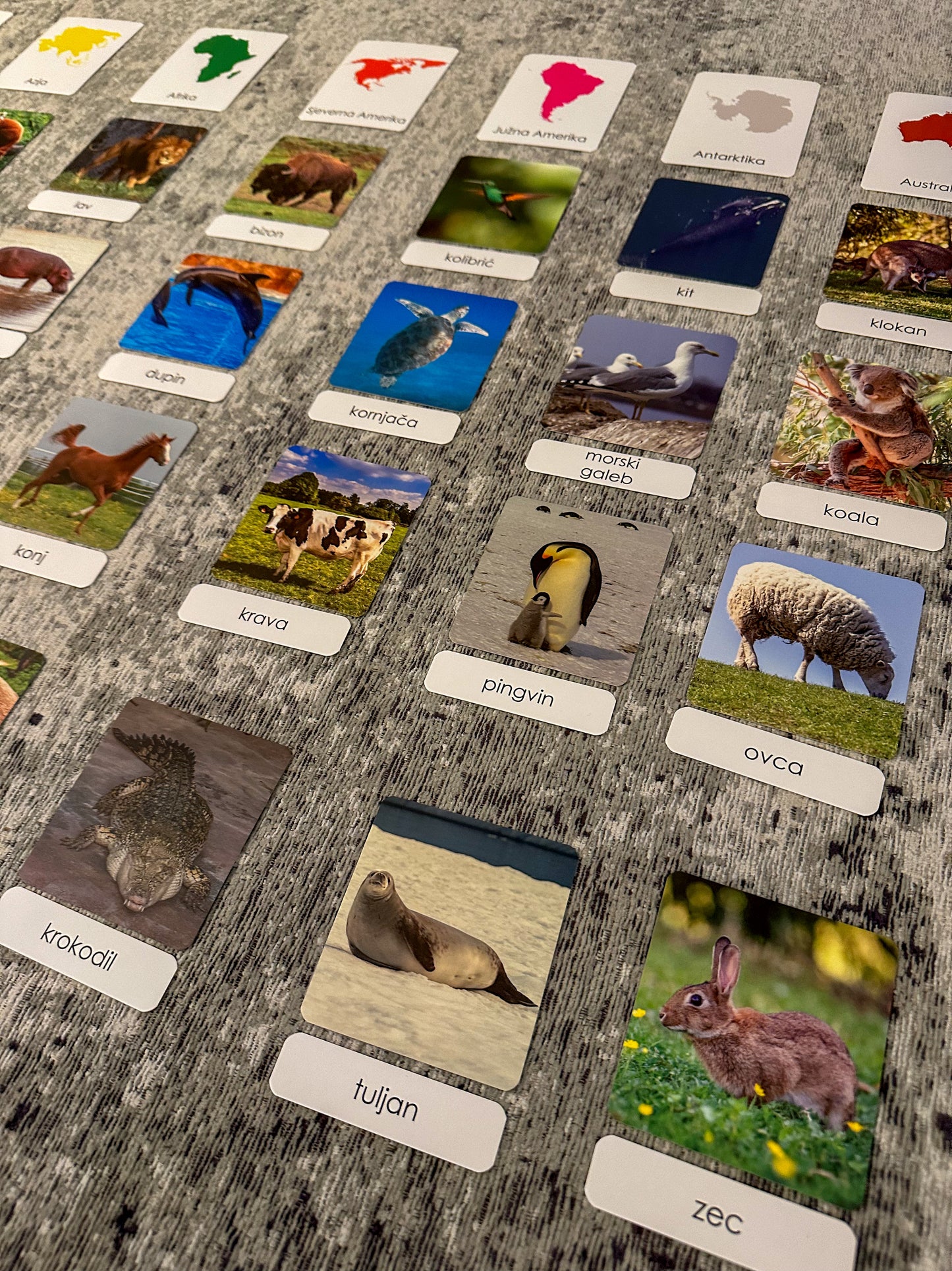 Montessori cards in a wooden box -  Animals of the World