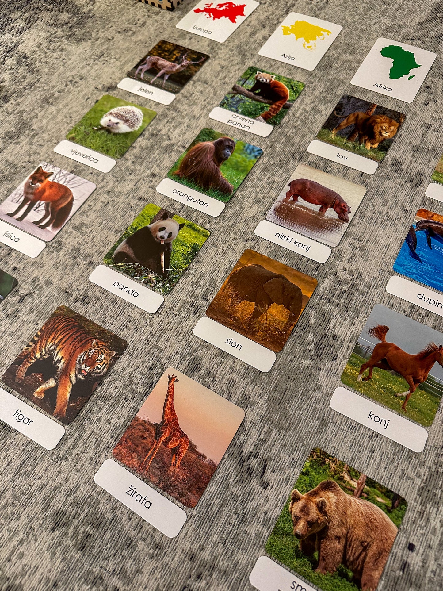 Montessori cards in a wooden box -  Animals of the World