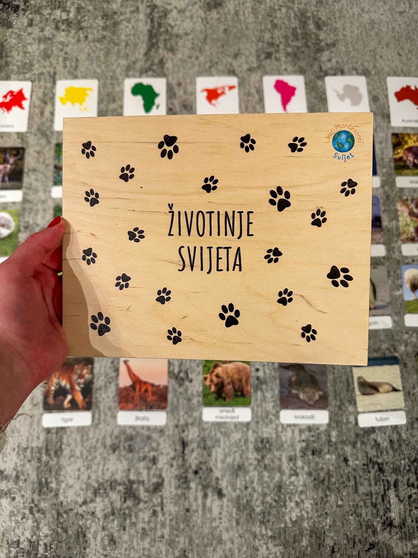 Montessori cards in a wooden box -  Animals of the World