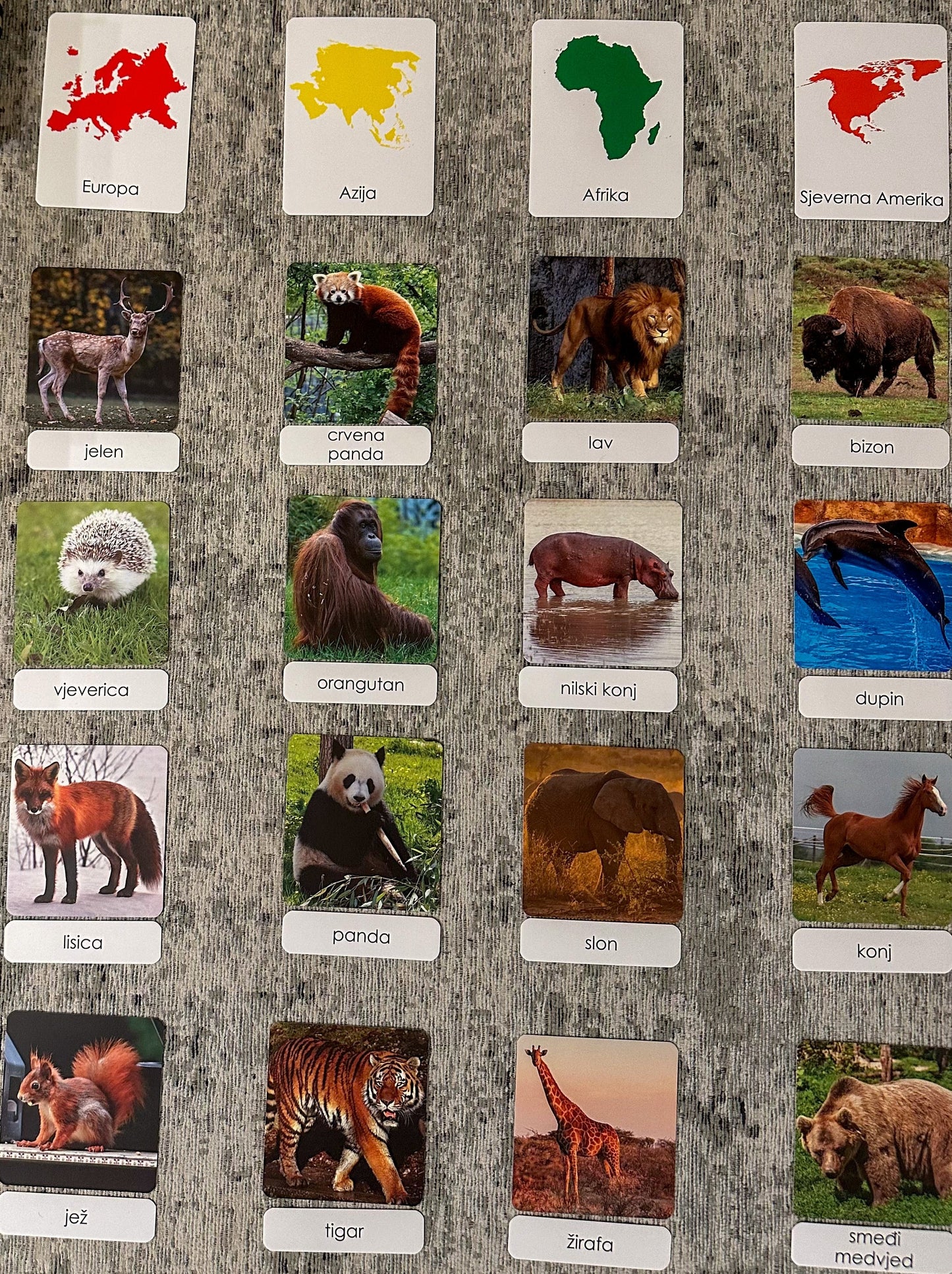 Montessori cards - Animals of the World