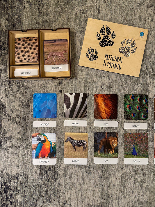 Montessori cards in a wooden box - Animal Patterns