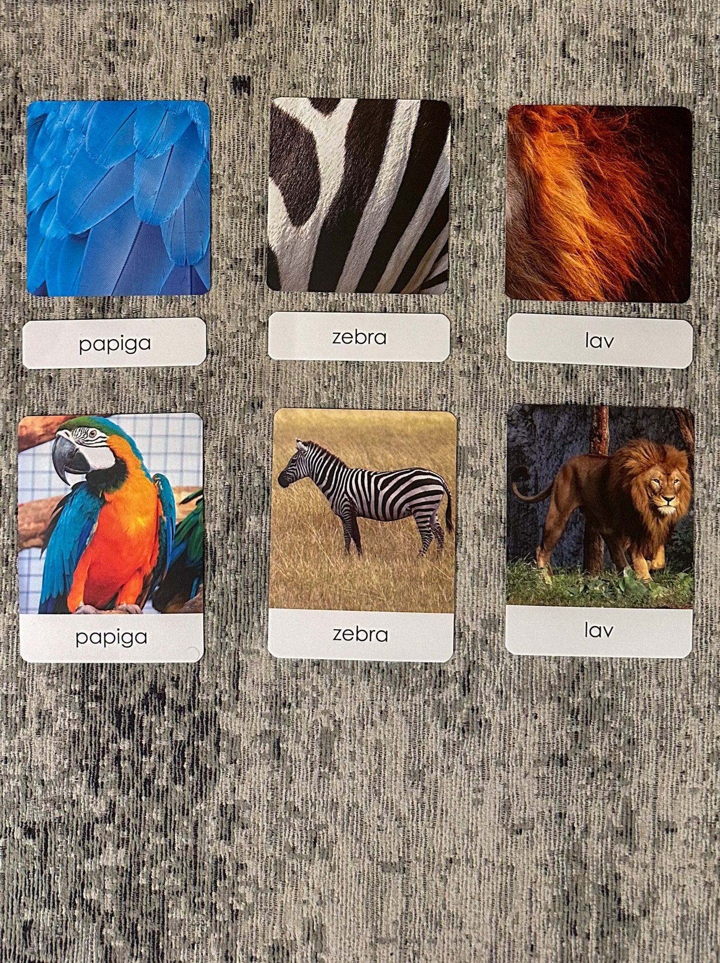 Montessori cards - Animal Patterns