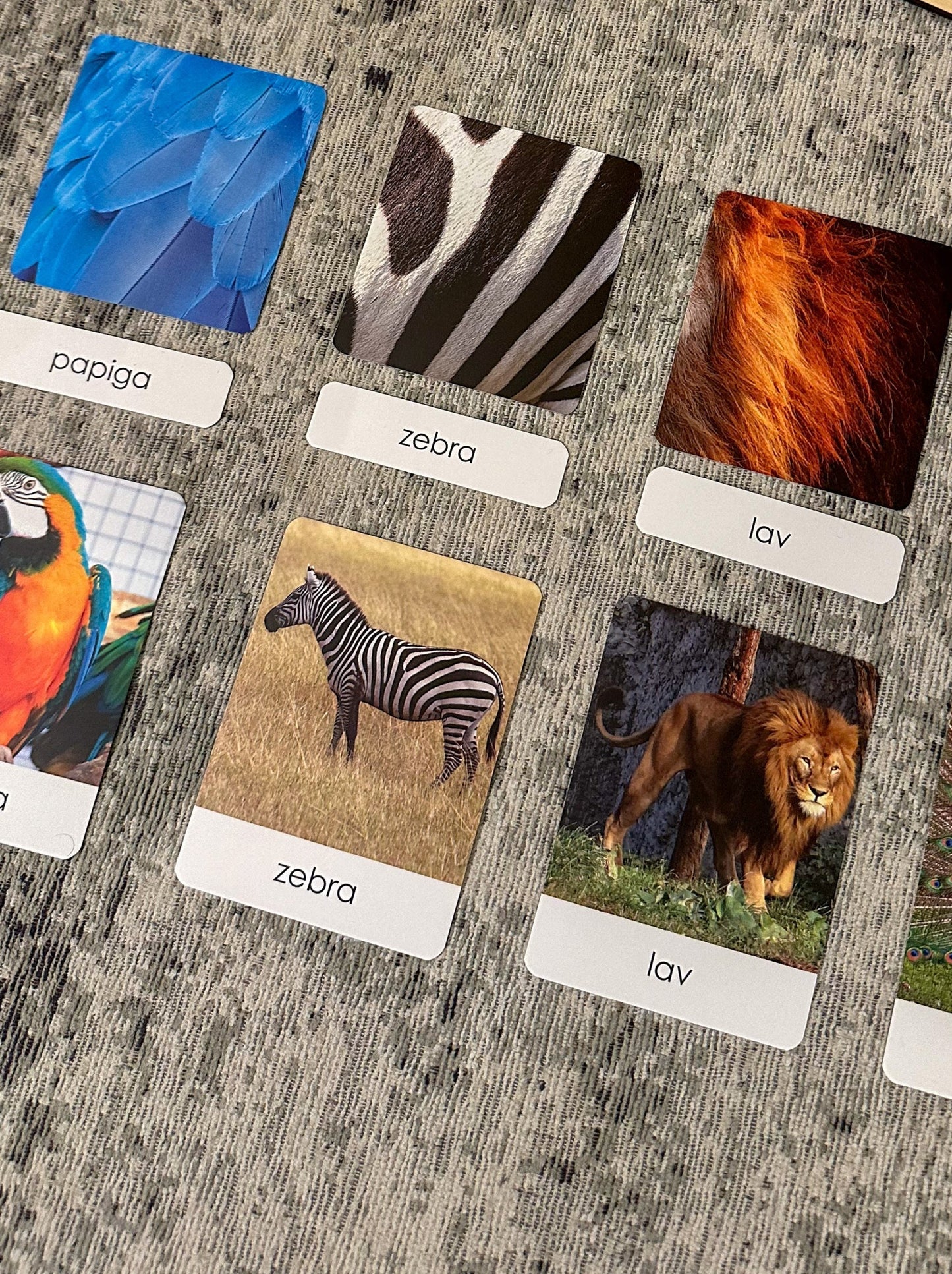 Montessori cards - Animal Patterns