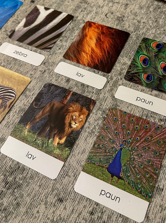 Montessori cards - Animal Patterns