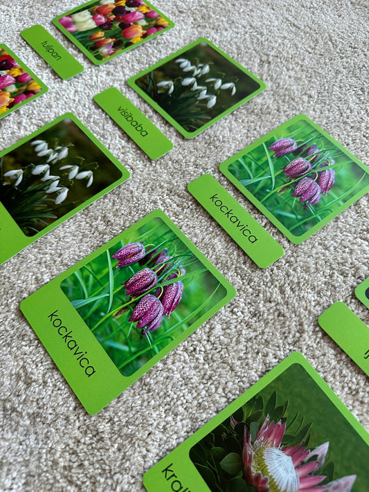 Montessori cards  – Flowers