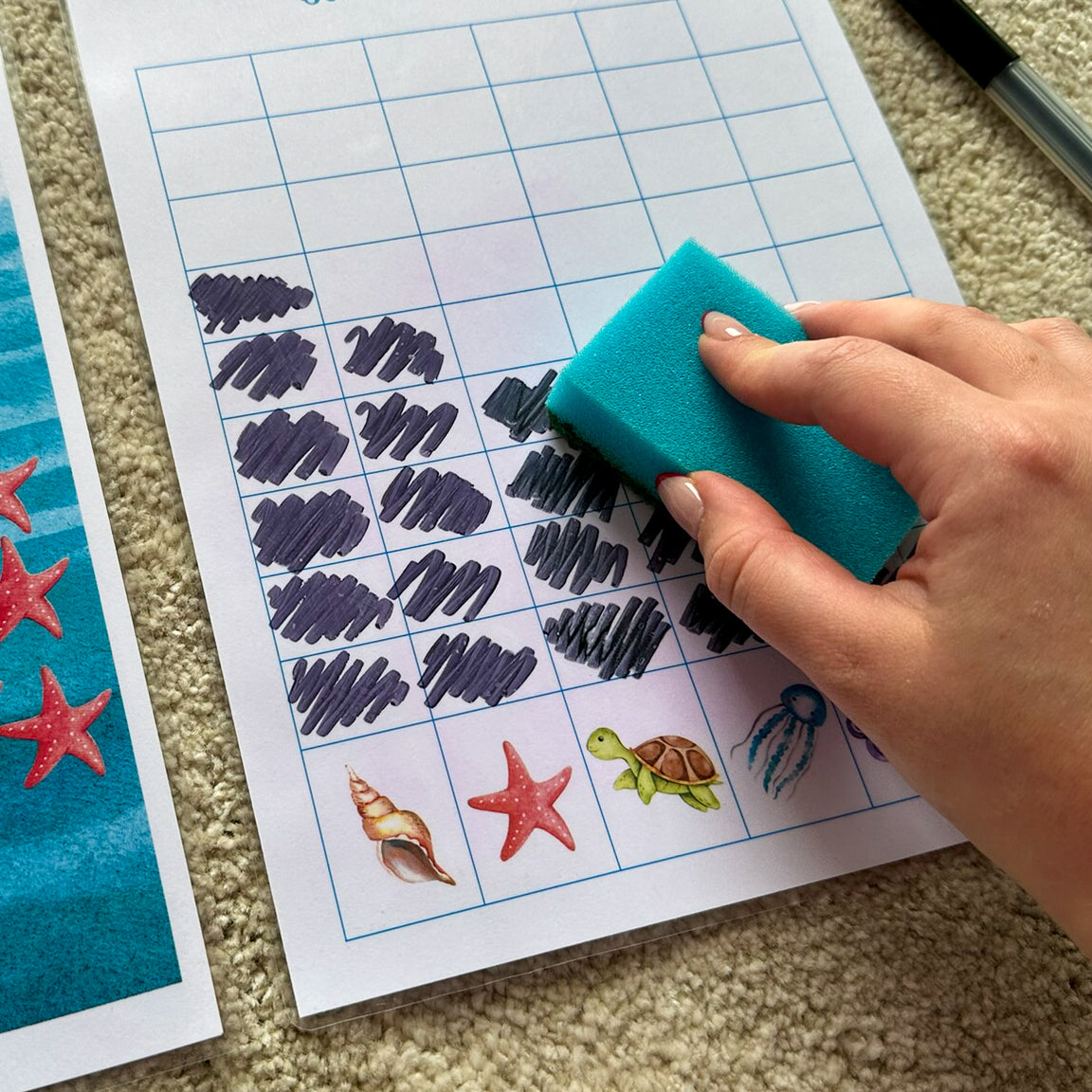 Matematičke školjke (digitalni materijal)